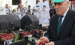 Mardin’de “kiraz” gölgesinde ifsat edici festivale tepki