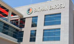 Batman Barosu’ndan Raman Dağı'nda katledilen atlar için suç duyurusu