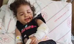 5'inci kattan otomobilin üzerine düştü
