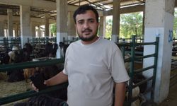 Kurbanlık satıcıları şikayetçi: Kurbanlıklar elimizde kaldı