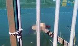 Sulama kanalında erkek cesedi bulundu