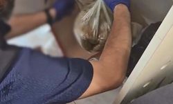 Ayakkabı kutusuna gizlenmiş 1 kilo uyuşturucu ele geçirildi