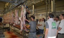 Umut Kervanı ve Yetimler Vakfı, Kurban Bayramı’nda yüzleri güldürdü