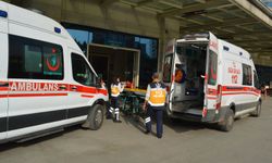 Siirt'te yıldırım çarpması sonucu çoban yaralandı