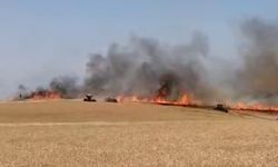 Diyarbakır'da 120 dönüm ekili buğday yandı
