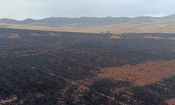 Siirt’te hasat bekleyen ekinler kül oldu