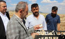 Milletvekili Demir sarımsak üreticisini dinledi