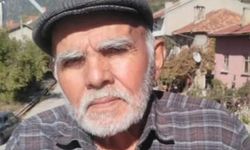 Ihlamur toplarken kayalıktan düşüp öldü