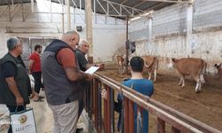 Batman’da 20 Aileye 359 Hayvan Hibe Edildi