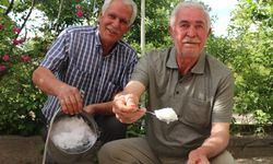 Kışın karla doldurulan kuyular, yazın serinlemek için kullanılıyor