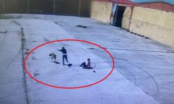 Sokak köpeğinin saldırdığı işçiyi arkadaşı kurtardı