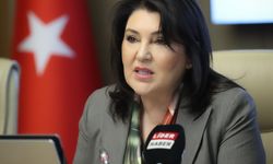 TBMM Dilekçe Komisyonu'na ilginç başvurular