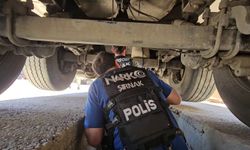 TIR'a gizlenmiş 30 kilogram uyuşturucuyu 'Hector' buldu