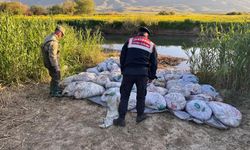 22 ton 475 kilogram inci kefali ele geçirildi