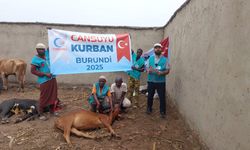 CANSUYU DERNEĞİ DÜNYANIN DÖRT BİR YANINDA