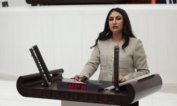DEM PARTİLİ ODUNCU KURAKLIĞIN YARATTIĞI MAĞDURİYETE DİKKAT ÇEKTİ