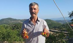 Ailesiyle gittiği piknikte kayboldu
