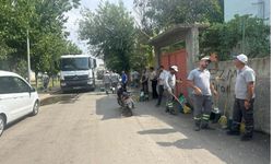 Seyitler Mahallesinde Kapsamlı Temizlik Seferberliği