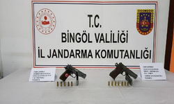 Bingöl'de Silah Operasyonu: 2 gözaltı