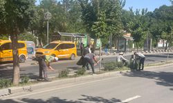 ANA ARTERLERDE KURU OTLAR TEMİZLENİYOR