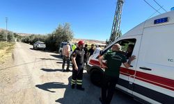 Elazığ'da trafik kazası: Bir kişi hafif yaralandı