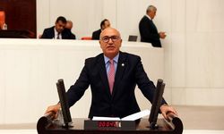Tanal Meclis’e taşıdı, Şanlıurfa’ya 70 hekim kadrosu tahsis edildi