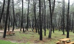 O İlde ormanlık alanlara giriş yasaklandı