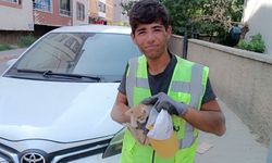 Temizlik görevlisi, otomobilin motor bölümüne sıkışan kediyi kurtardı