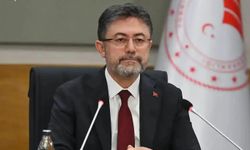 Orman yangınları bitti, "Dezenformasyon Yangını" ise sürüyor