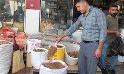 Yerli Sumak Fiyatı Yüzde 50 Arttı