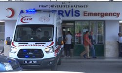 Kaçan eşeğin yuları boynuna dolanan 7 yaşındaki Meryem öldü