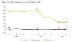 TÜİK: İstihdam endeksi yıllık yüzde 1,9 arttı