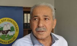 Buzağı ve çiğ süt destekleme ödemeleri için tarihler açıklandı