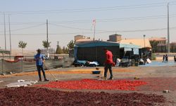 Kurutmalık ve salça üreticileri: Yoğun talebe yetişemiyoruz