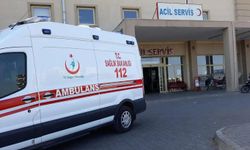 Tarım işçilerini taşıyan minibüs devrildi: 20 yaralı