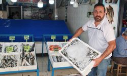 Av yasağı kalktı, balık piyasası hareketlendi