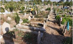MEZARLIKLARA MEVSİMSEL BAKIM