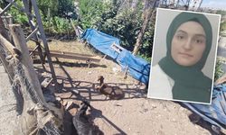 Hareketsiz yatan keçiye dokunan kadın, akıma kapılıp öldü