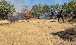 Mardin’de ormanlık alanda çıkan yangın 3 saatte kontrol altına alındı