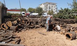 Oduncularda kış hazırlıkları başladı