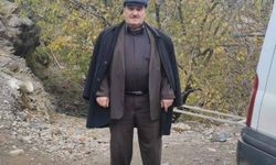 Ceviz ağacından düşen adam öldü