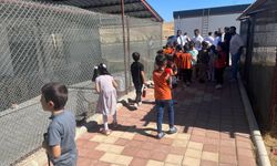 Öğrencilerden Sokak Hayvanlarına Sevgi Ziyareti