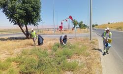 GÜLTEPE KAVŞAĞI KOZLUK YOLU GÜZERGAHINDA GENEL TEMİZLİK ÇALIŞMASI