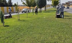 130 DÖNÜMLÜK ALANDA ÇİM BİÇME İŞLEMİ