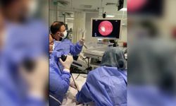 Hastanın akciğerine kaçan sarımsak operasyonla çıkarıldı