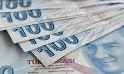 Engelli ve eski hükümlü vatandaşlar için hibe desteği başvuruları başladı