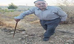 Kayıp Alzheimer hastası 10 gündür aranıyor; 125 kilometrekare alan tarandı