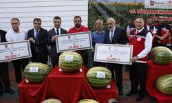 Kuraklığın vurduğu Diyarbakır karpuzunda birincilik 39 kiloda kaldı