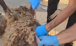 Diyarbakır'da akıllara durgunluk veren uyuşturucu sevkiyatı