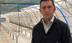 Çay atığından topraksız tarım; ‘kokopit’e alternatif ‘çaykopit’